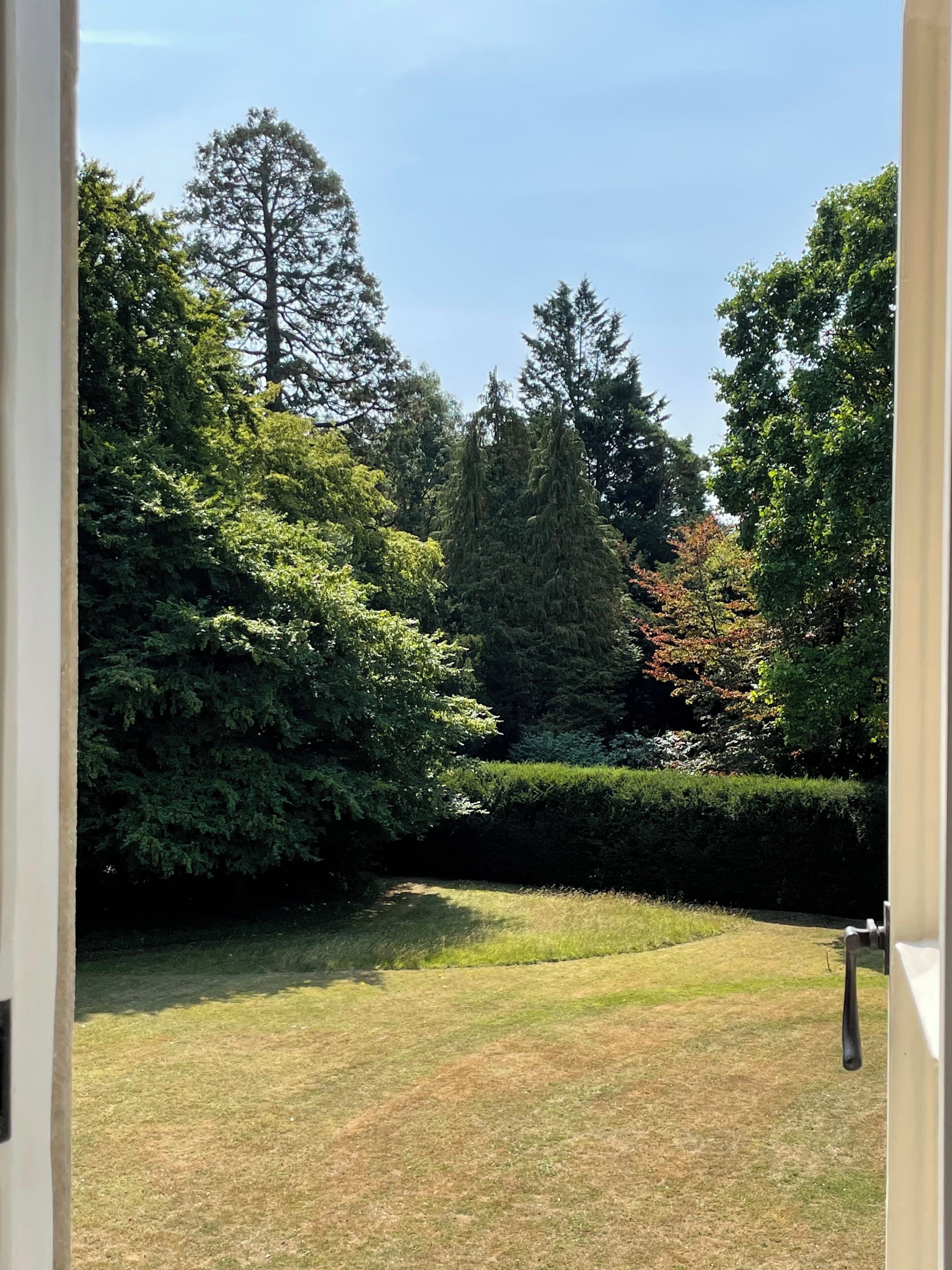 Vista de un jardín bien cuidado con diversos árboles y césped.