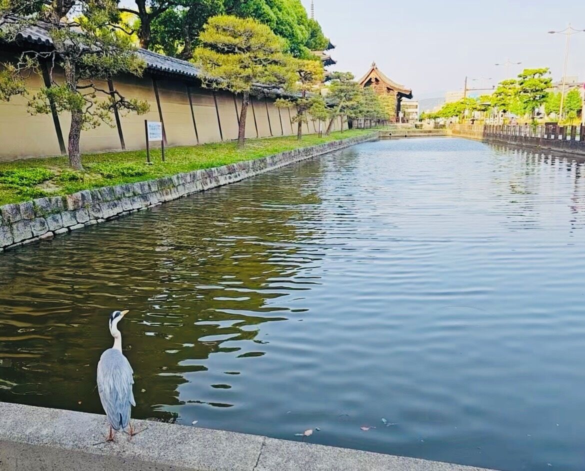 A calm waterway with a traditional building and trees in the background.