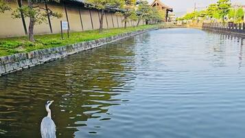 A calm waterway with a traditional building and trees in the background.