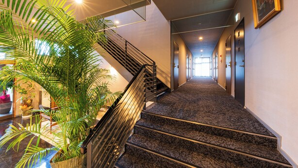 A modern hotel interior with a carpeted staircase, a large potted plant, and a hallway leading to rooms. - SPACEPORT HOTEL OITA (Kunisaki)
