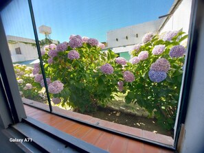 Phòng 3 Tiêu chuẩn | Quang cảnh sân vườn