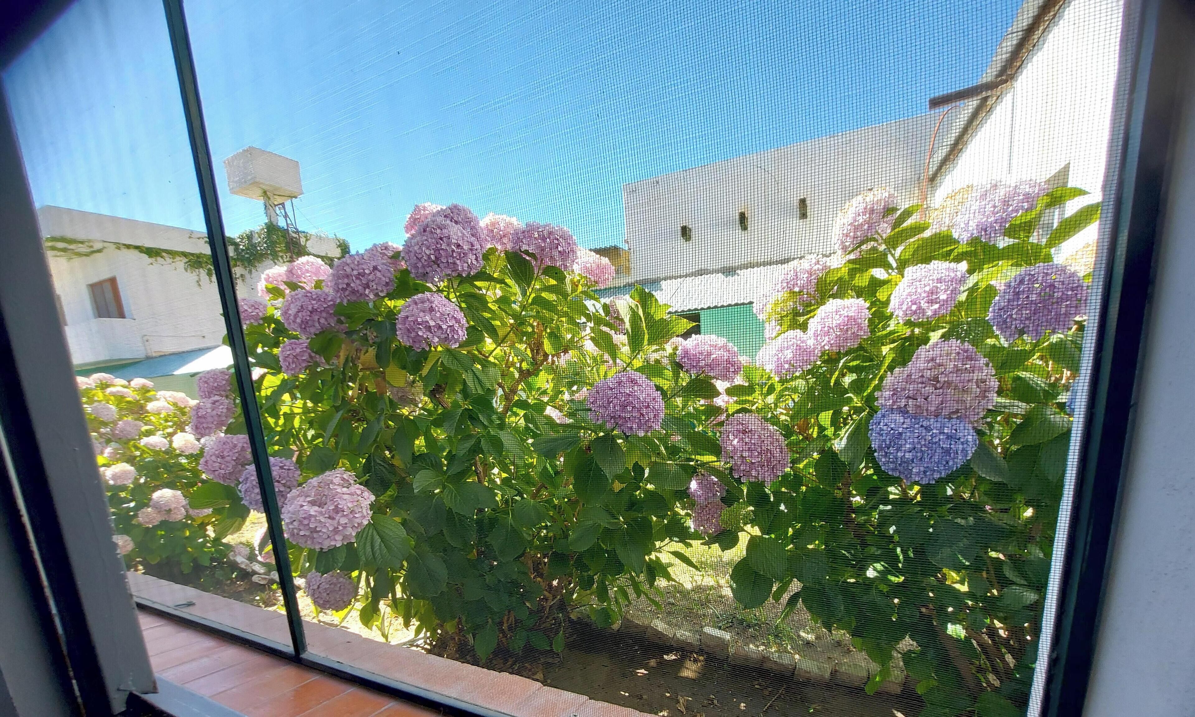 Standard Triple Room | Courtyard view
