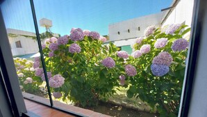 A window with a view of a garden featuring hydrangea bushes. - Hotel Asembal (Cafayate)