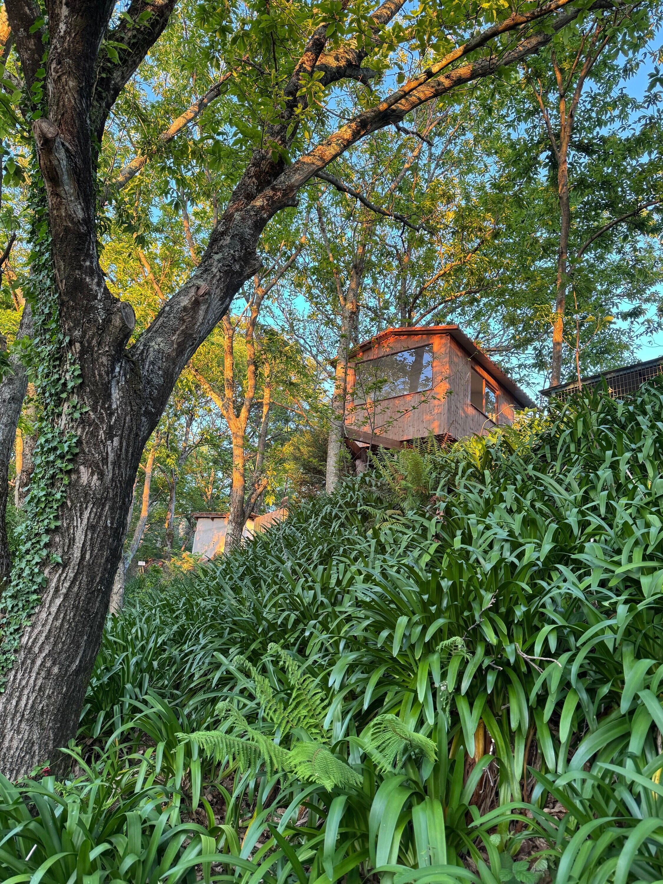 Jardines del alojamiento