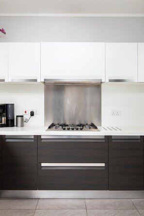 Penthouse, 3 phòng ngủ, bếp, quang cảnh thành phố | Bếp riêng