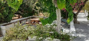 Exterior - Captain's Apartments in Olive Grove 2 (Kefalonia)