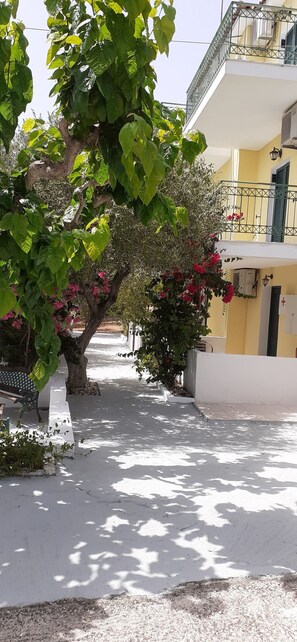 Exterior - Captain's Apartments in Olive Grove 2 (Kefalonia)