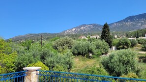 House | 5 bedrooms, desk - Stone House in Olive Grove (Kefalonia)