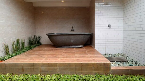 Une salle de bain moderne dotée d’une baignoire sur pieds, d’un espace douche et d’un petit jardin avec des plantes.