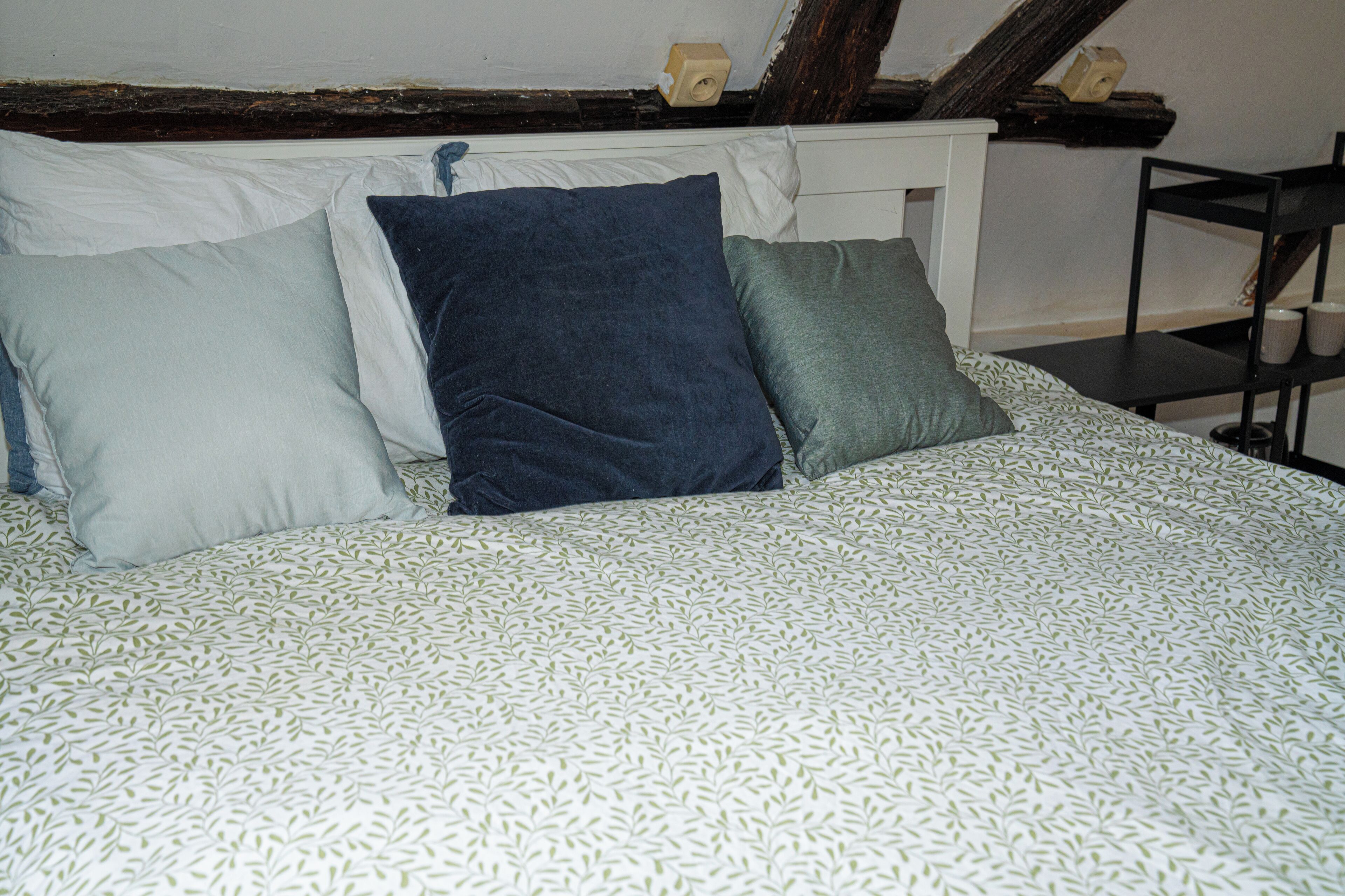 Basic Apartment | Iron/ironing board, free WiFi