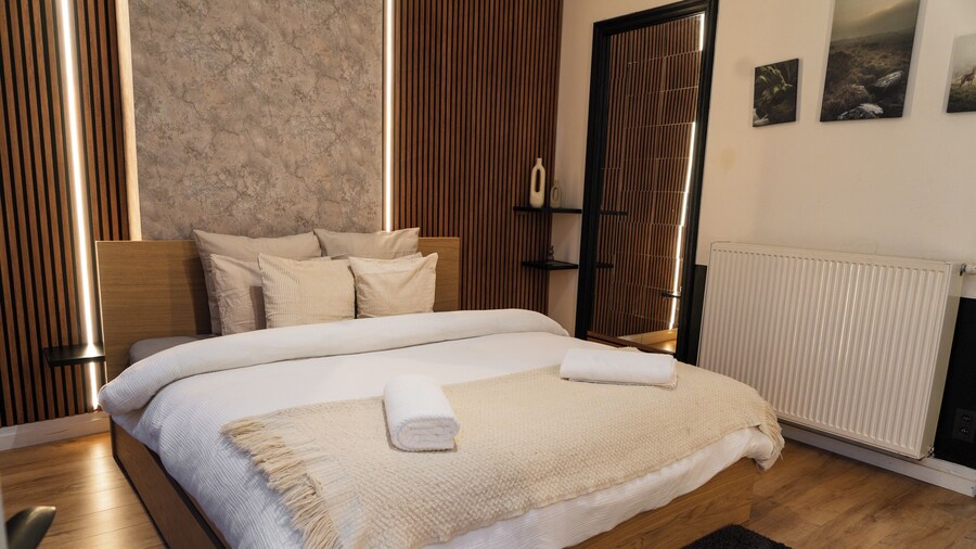 Cozy 5BR Apt in the Heart of Ghent