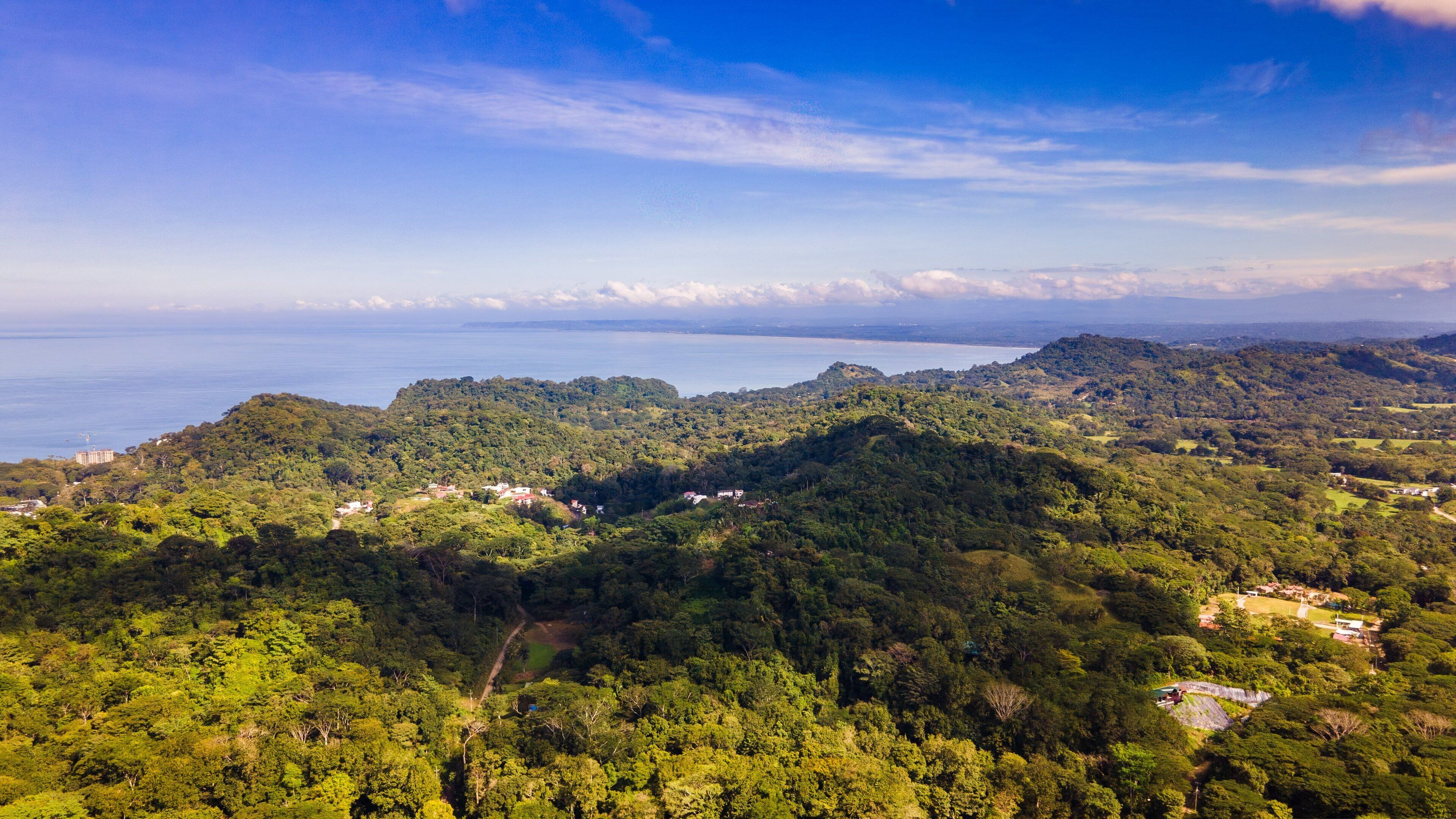 Un paisaje exuberante y verde con edificios dispersos, probablemente un resort o cabaña, rodeado de un bosque denso y con vistas a una masa de agua.