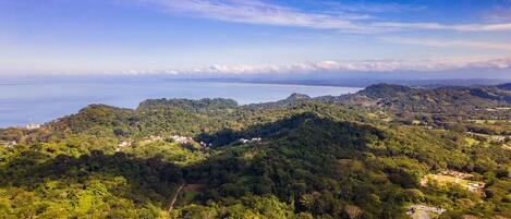 Un paisaje exuberante y verde con edificios dispersos, probablemente un resort o cabaña, rodeado de un bosque denso y con vistas a una masa de agua.