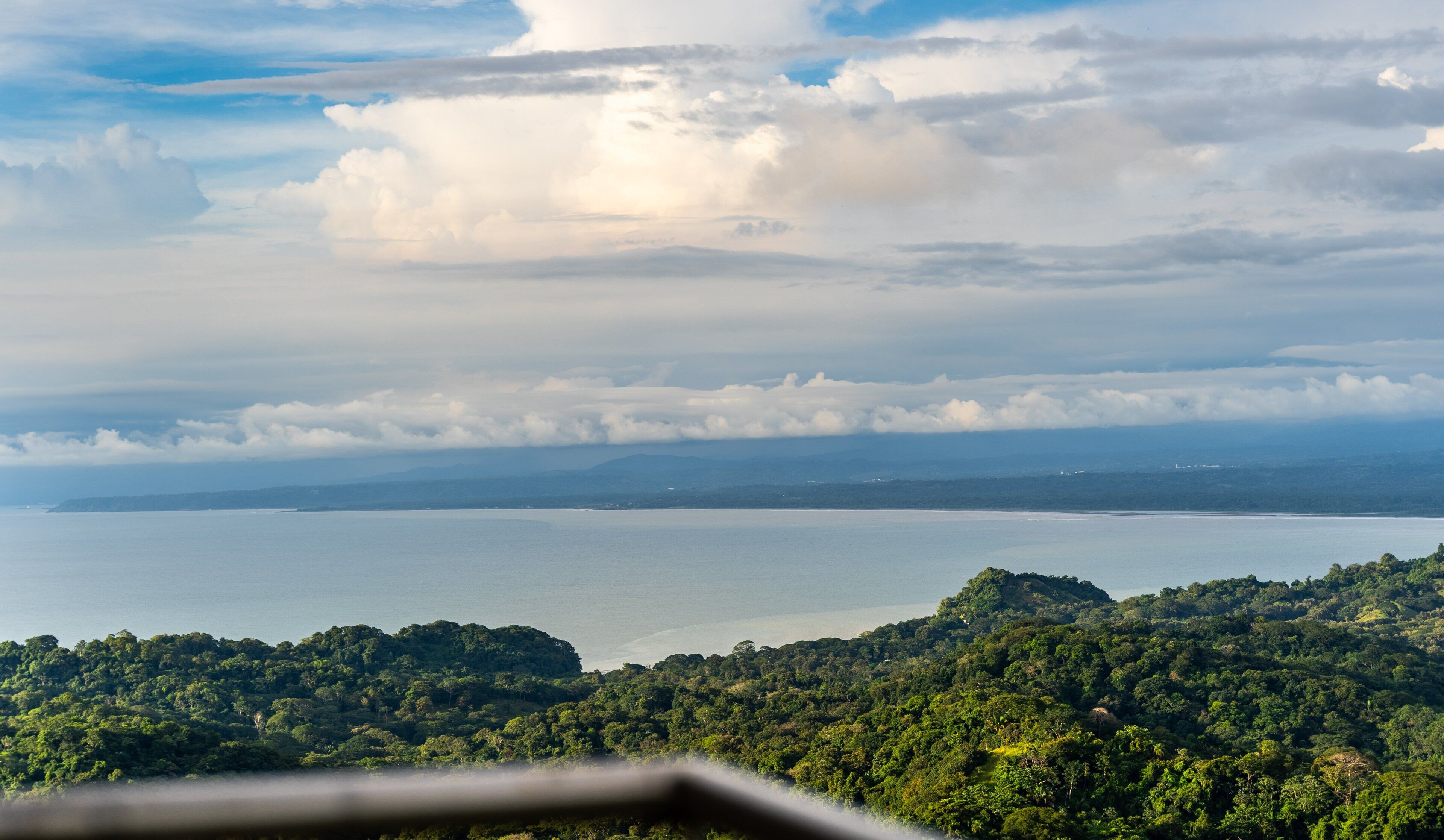 A coastal landscape with dense forested hills and a calm sea.