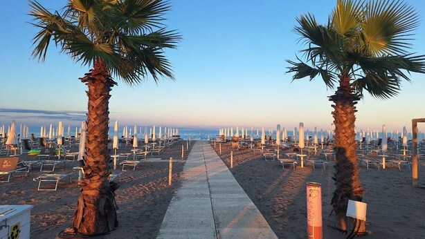 A beach with a wooden walkway lined with palm trees and beach chairs. - Residence Sandra three-room apartment Trilo for 6 persons (Rosolina Mare)