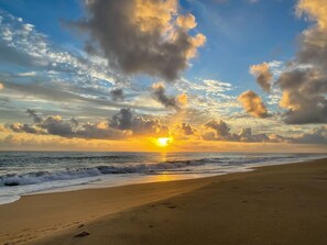 On the beach, sun-loungers, beach towels - Oceanfront Penthouse in Cabo San Lucas December 13-20, 2025 (Cabo San Lucas)
