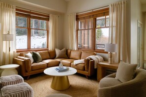 TV connectée, cheminée, livres