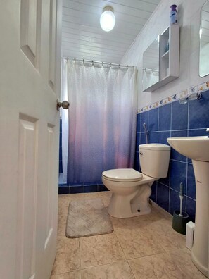Hair dryer, towels, soap, toilet paper