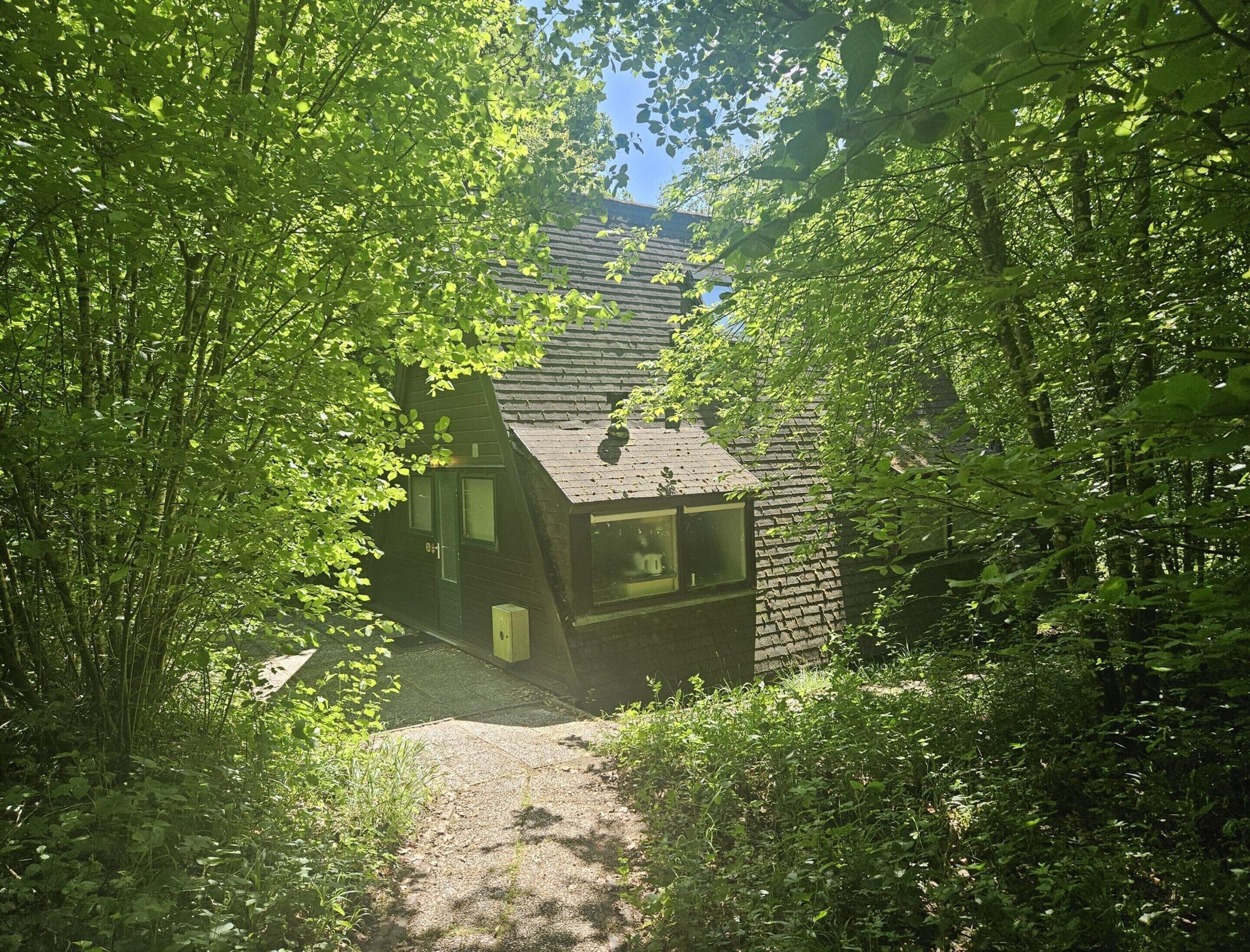 Nhà gỗ | Quầy tiếp tân