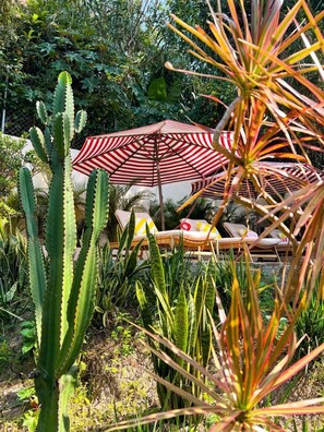 Garden - Ombligo  (Valle de Bravo)