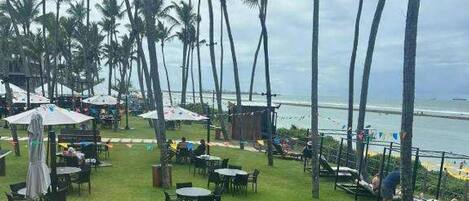 A grassy outdoor area with tables and chairs, palm trees, and a view of the ocean.