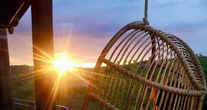 Casale Lilla, surrounded by nature, 2 family-friendly apartments, pets allowed