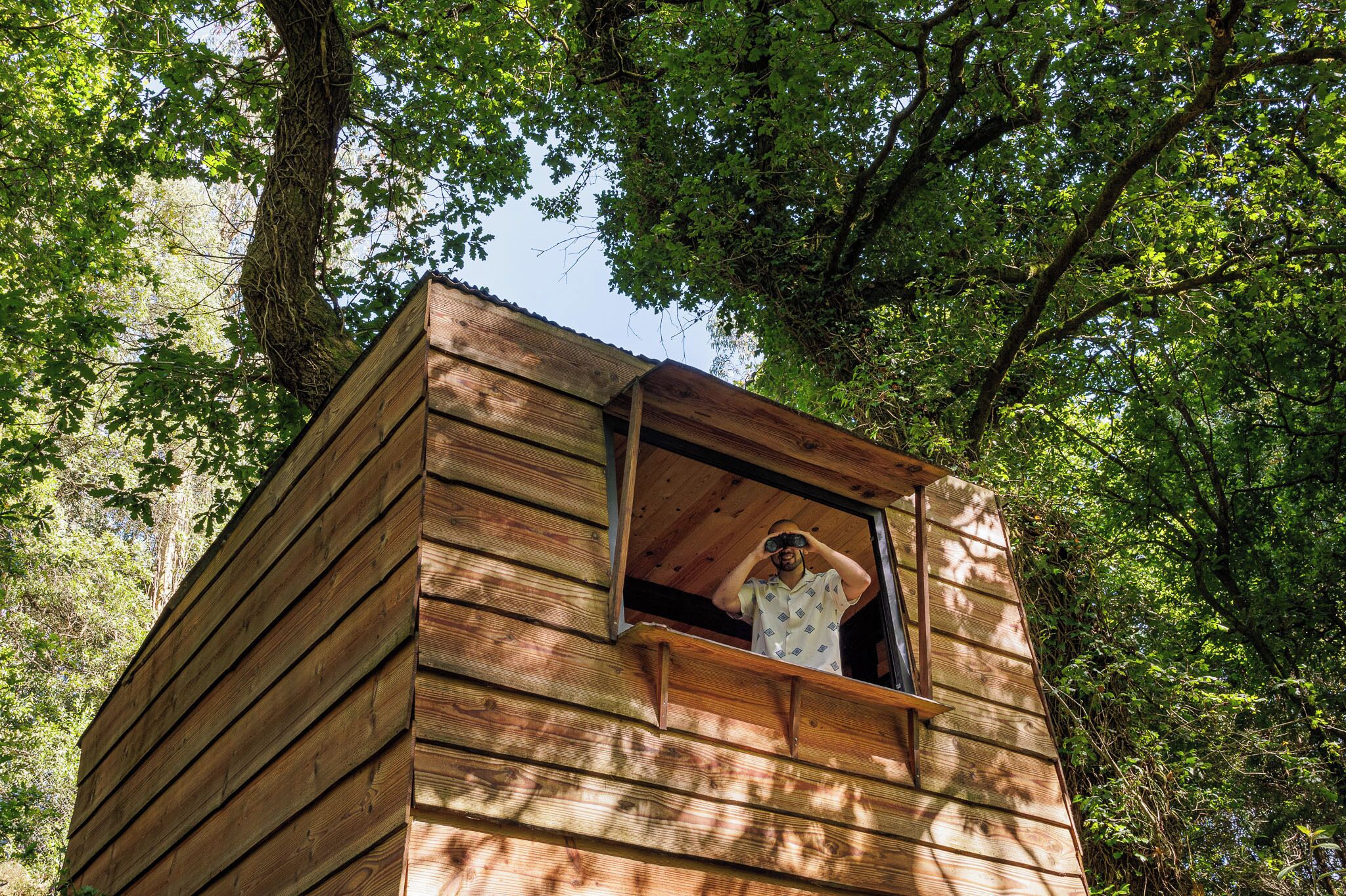 A wooden cabin with a window and a person inside.