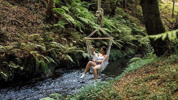 A hammock suspended over a stream in a forested area with ferns and trees. - Be&See In River (Ovar)