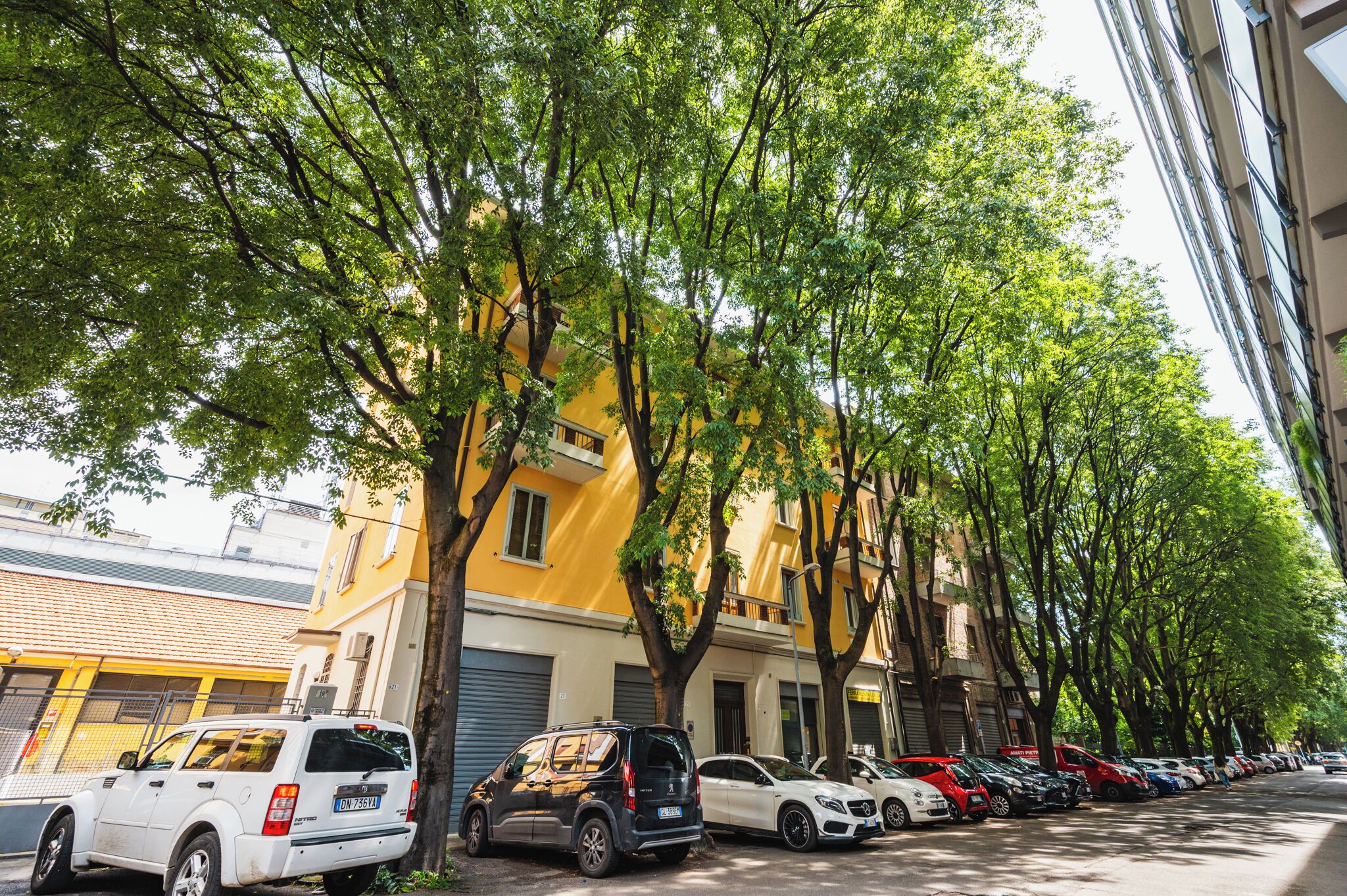 A row of parked cars along a tree-lined street with buildings in the background.