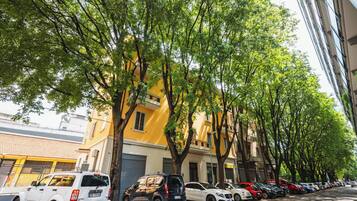 A row of parked cars along a tree-lined street with buildings in the background.