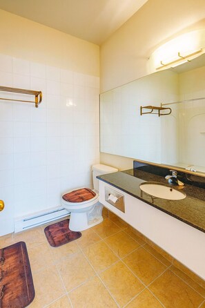 Sèche-cheveux, serviettes fournies, papier toilette