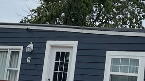 A small house with a front porch, a white door, and a window.