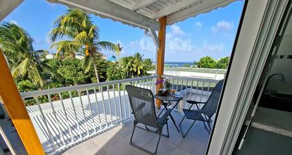 Les cocotiers Anse Montal