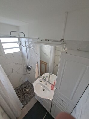 Une salle de bain avec une douche, un lavabo et un miroir.