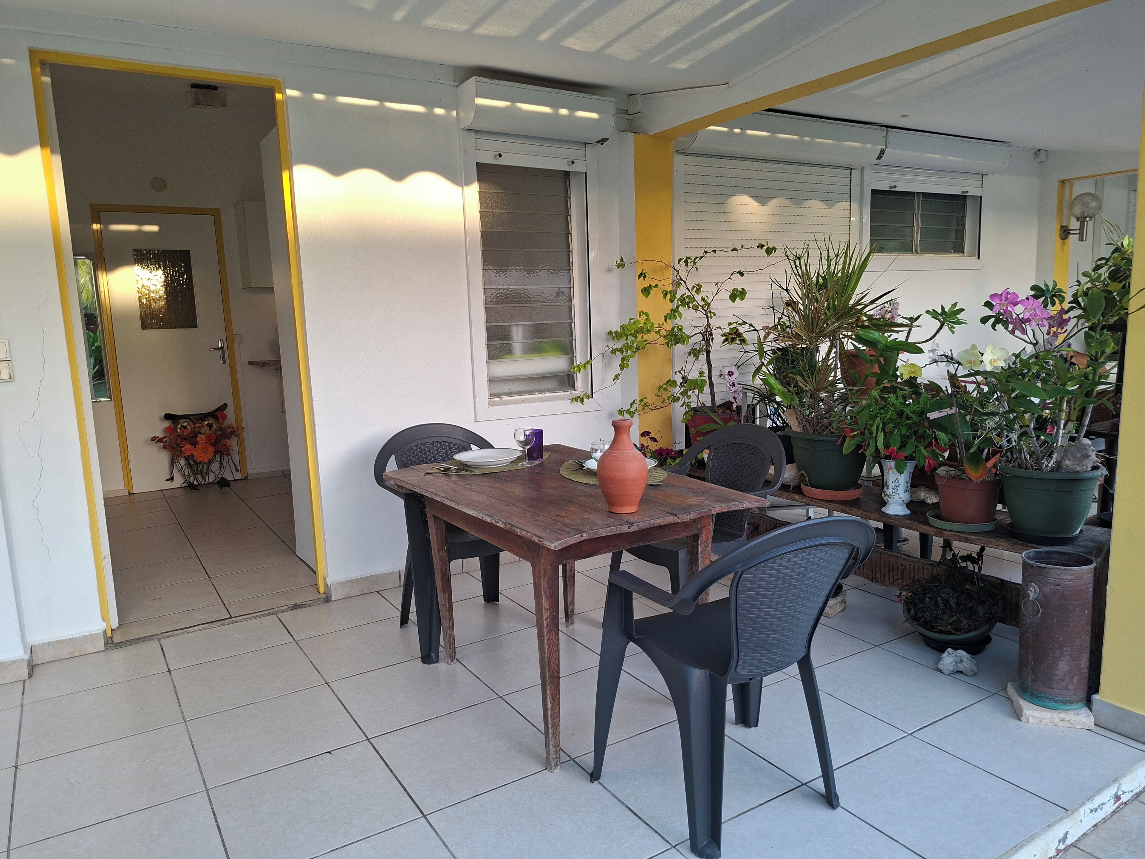 An outdoor dining area with a wooden table, chairs, and potted plants.
