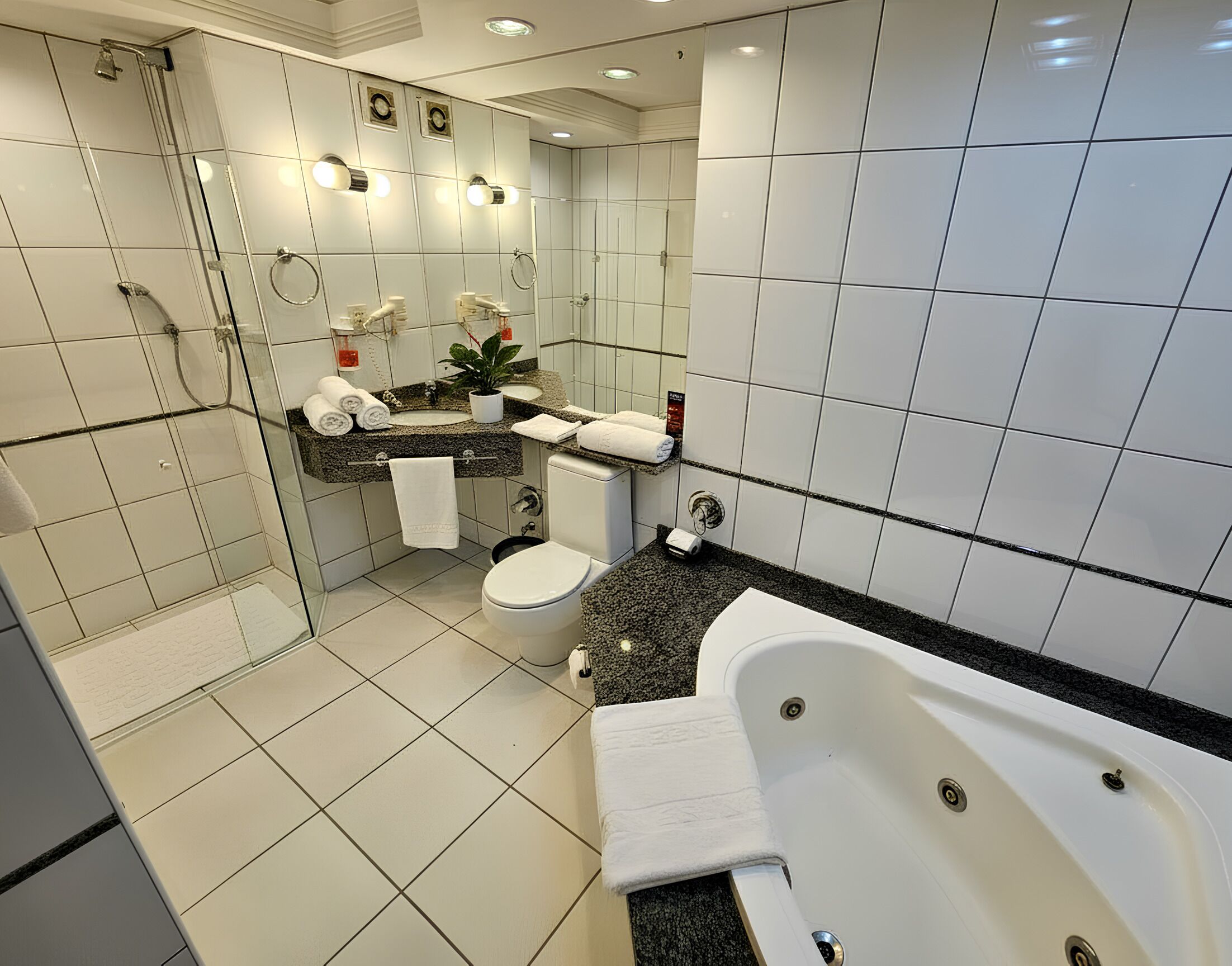 A modern bathroom with a glass-enclosed shower, a bathtub, and a toilet.