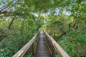 A wooden bridge surrounded by dense green foliage. - Oceanwalk 17-303 (New Smyrna Beach)