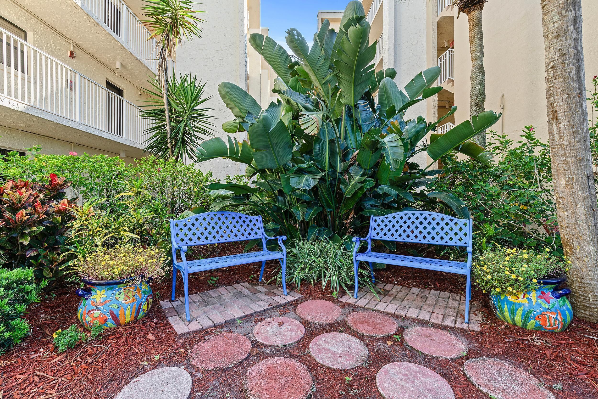 A courtyard with two blue benches, a large plant, and potted plants with colorful designs.