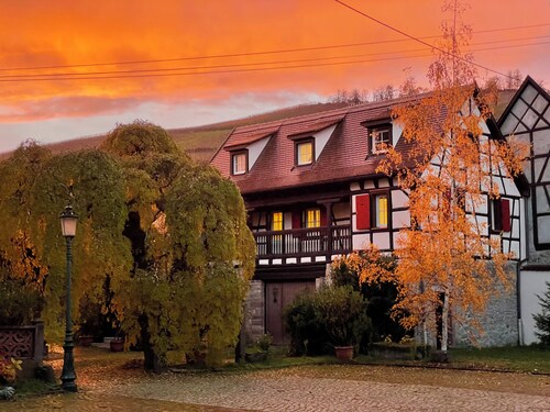 The winegrower's courtyard