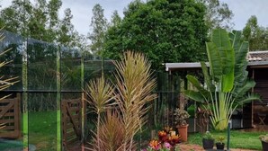 Un camí de jardí amb diverses plantes i flors, una tanca de fusta i una planta de plàtan gran.
