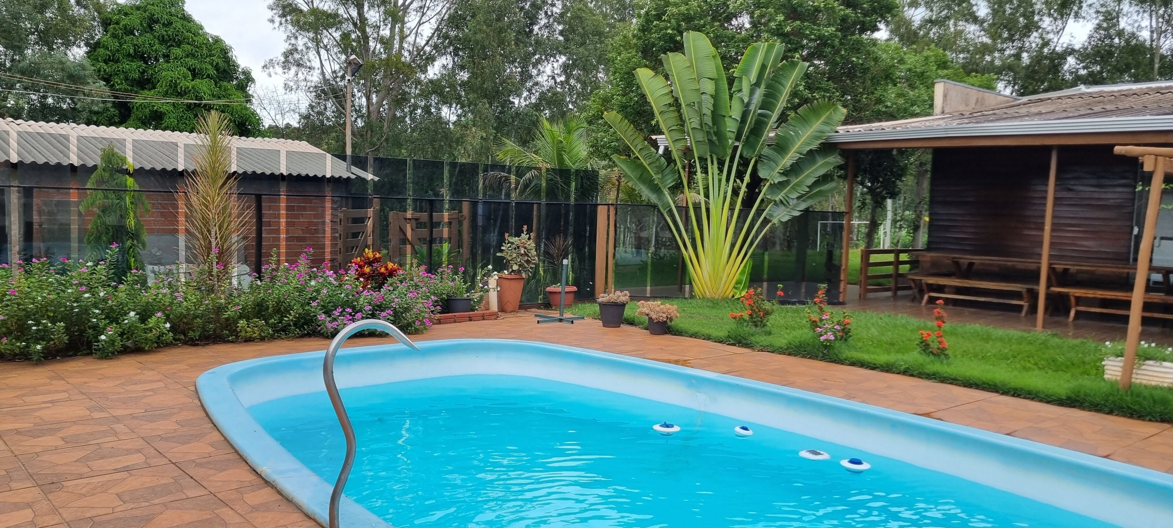 Een zwembad met een helderblauw wateroppervlak, omgeven door een tuin met diverse planten en bloemen.