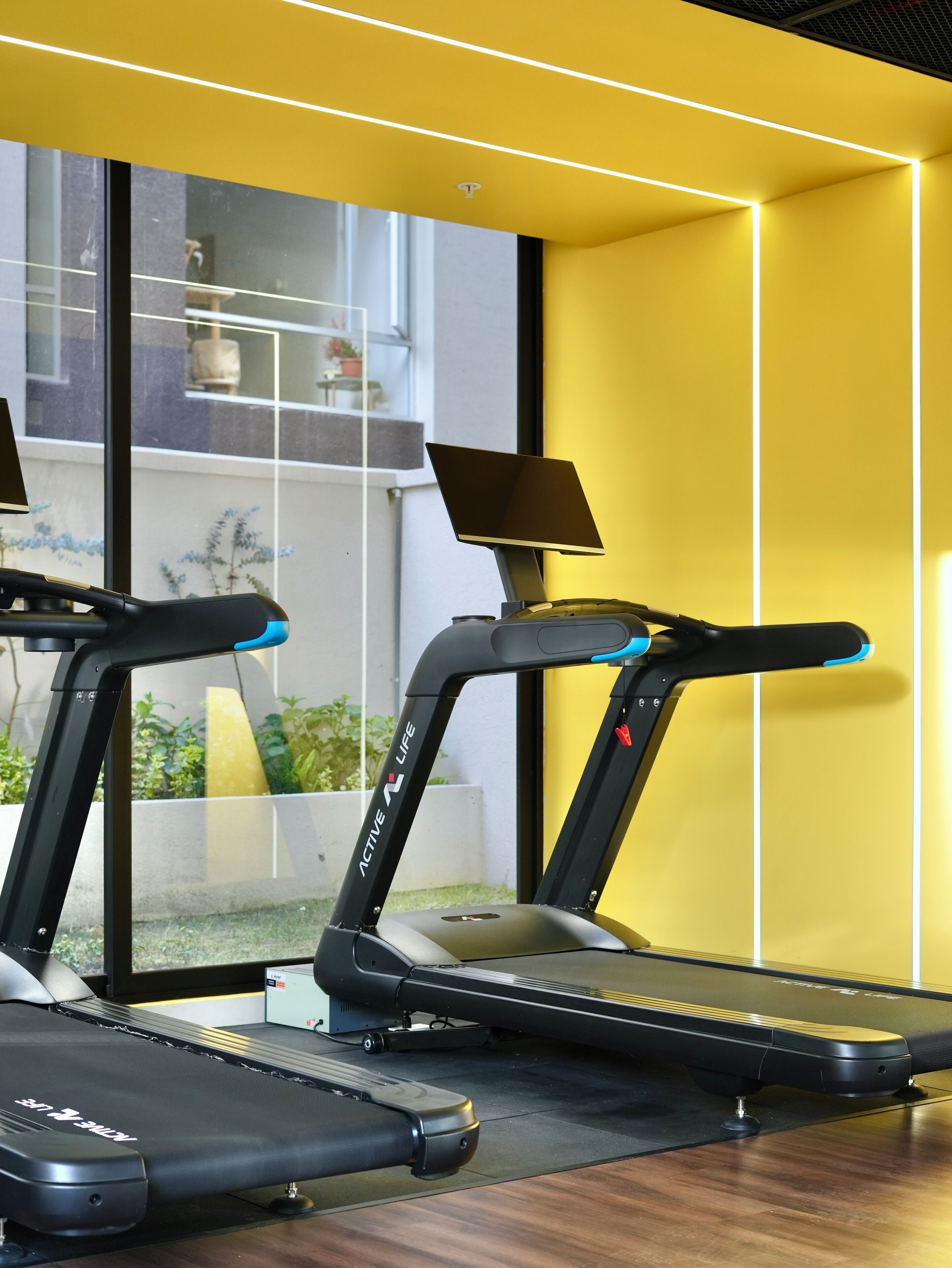 Gimnasio