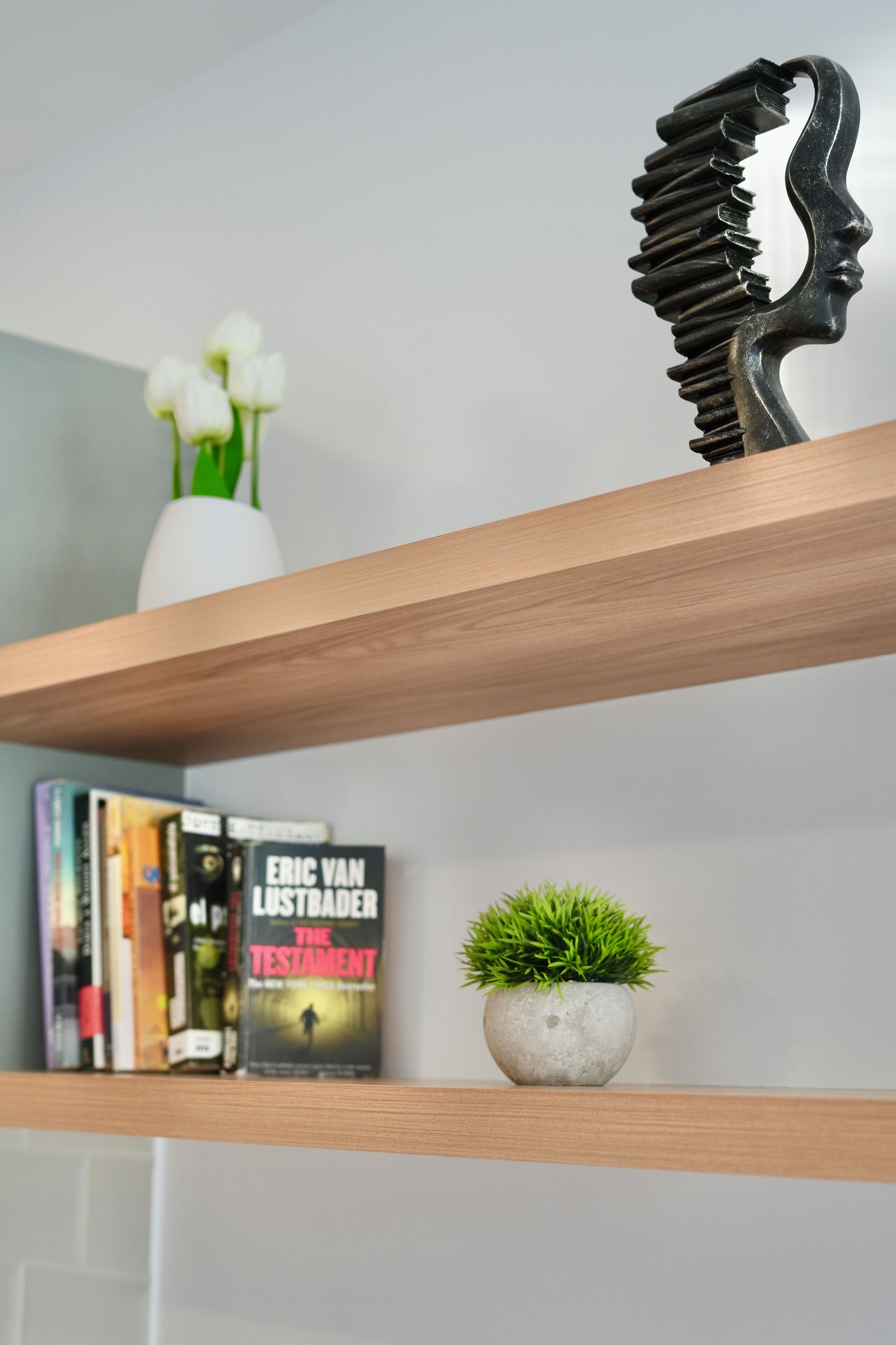 Une étagère avec des livres, une plante en pot et un objet décoratif.