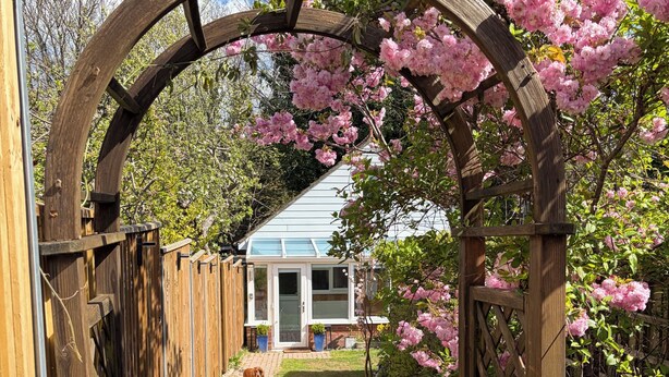 Een houten pergola met roze bloemen, een pad van baksteen en een huis met een blauw dak op de achtergrond.