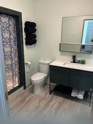 Shower, hair dryer, towels, soap