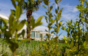 Property grounds - Stunning home in Ugljan with private swimming pool, can be inside or outside (Ugljan)