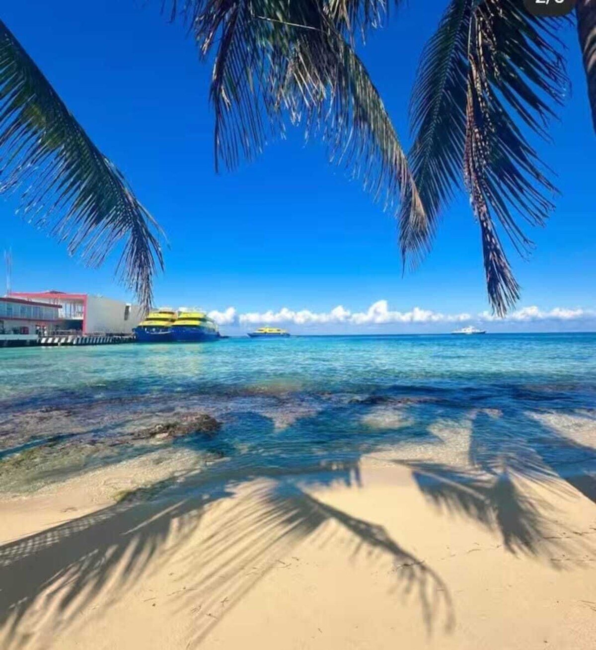 Image de profil de l’hôte