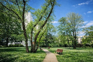 Ein Park mit einem gepflasterten Weg, Bänken und Bäumen.