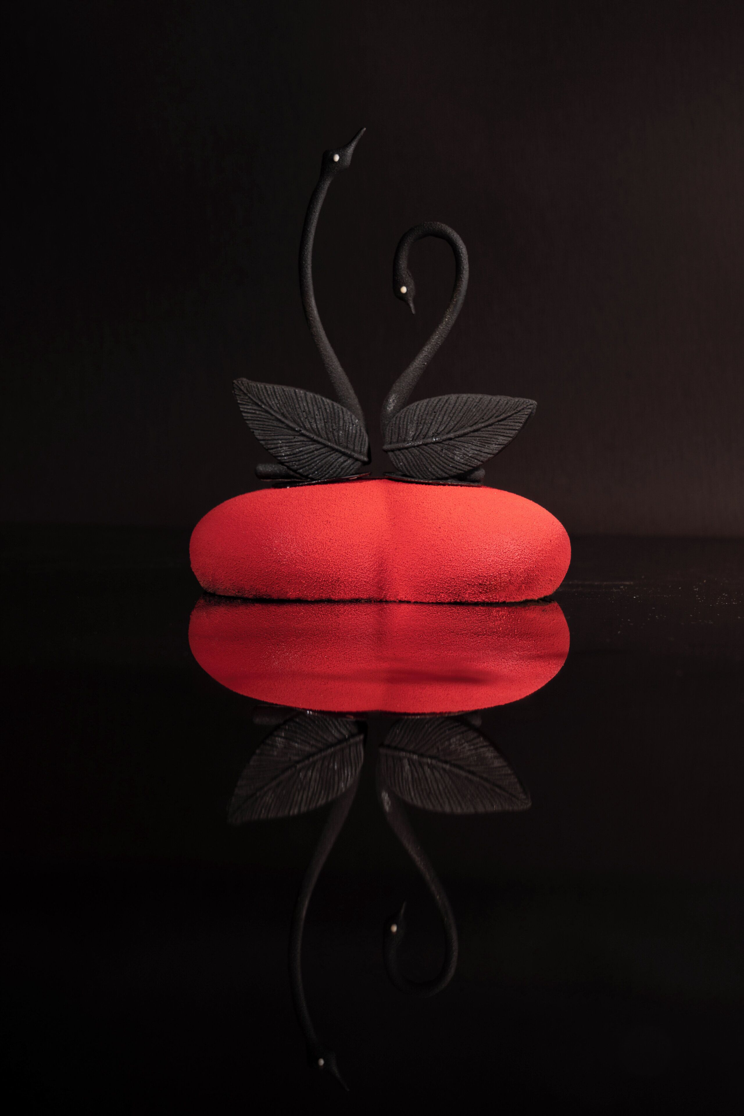 Una superficie reflectante con un objeto rojo y hojas negras.