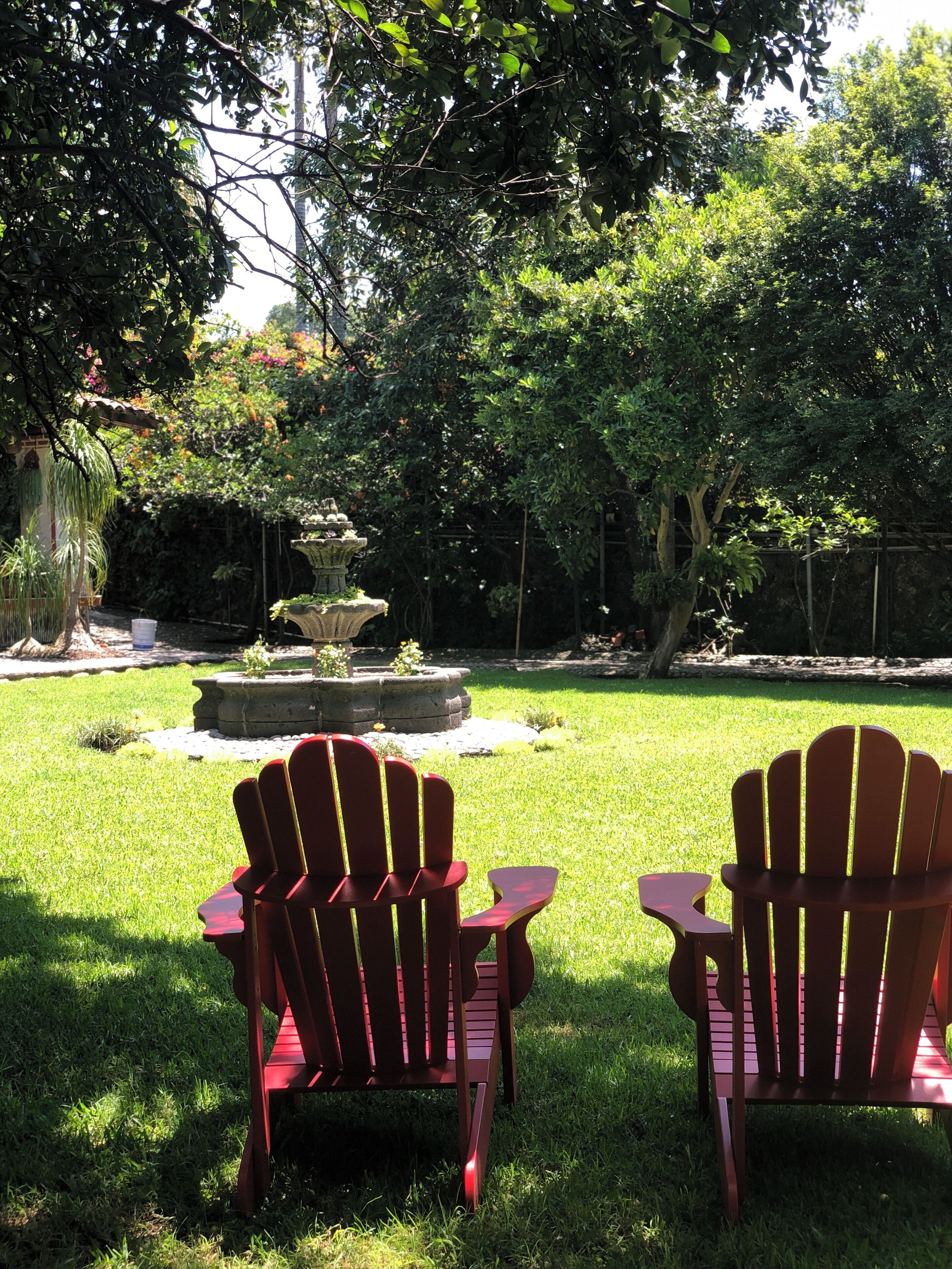 Jardines del alojamiento